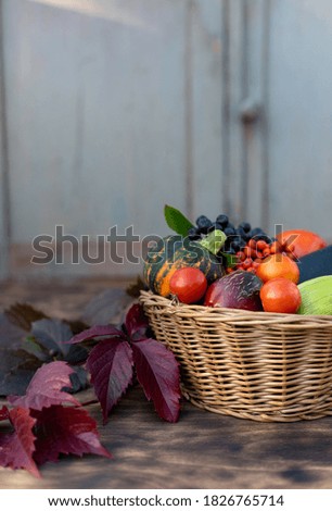 Composition of fresh vegetables in a basket on a wooden background. Autumn harvest. Happy Thanksgiving.