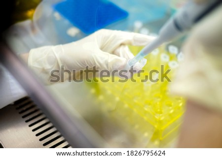 Asia scientist wears a glove and used a micropipette and transfer sample into an eppendorf in the biosafety hood. People in the laboratory study on anti corona drugs. Pharmaceutics concept