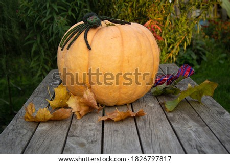 A large orange pumpkin lies on a wooden table. Nearby there is a candle on a pumpkin spider