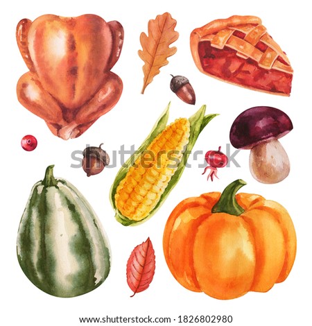 Thanksgiving Autumn clip art hand watercolor painted, isolated, clipping path included, quick isolation.