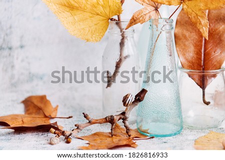 Autumn still life with little glass bottles and yellow leaves. Fall theme photography. Nature.