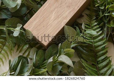 The empty wooden box is placed on the desktop with natural light and green leaves. Background material