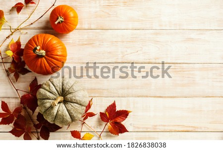 Autumn holiday background with pumpkins and colorful leaves. Top view. Copy space.