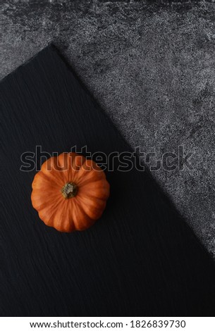 Decorative orange pumpkin on a stone slate on a dark gray marble background.