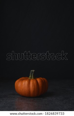 Decorative orange pumpkin on a stone slate on a dark gray marble background.