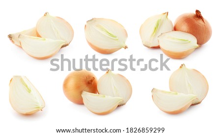 Set of yellow cut and whole onion on white background. Banner design