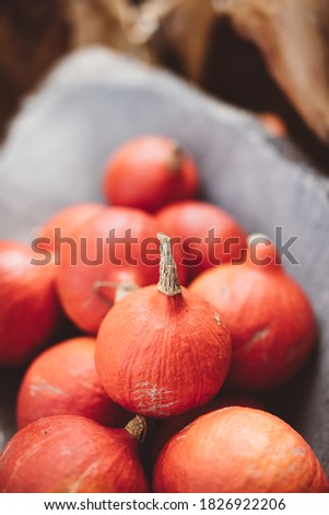 Red pumpkins in stone bowl. Autumn seasonal food and Thanksgiving theme