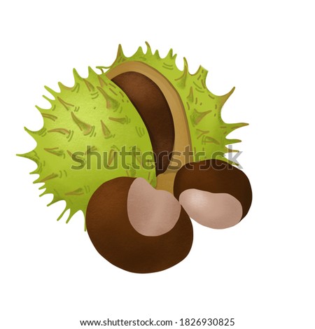 Pattern of ripe chestnuts: one with a green skin, and two brown smooth.