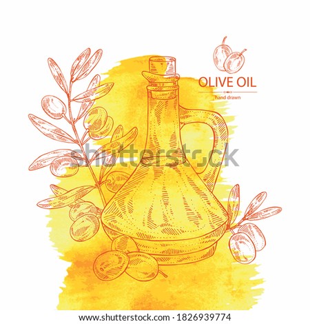 Watercolor background with olive and bottle of olive oil. Vector hand drawn 