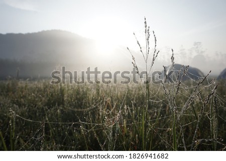 camping place with foggy hill view in the morning