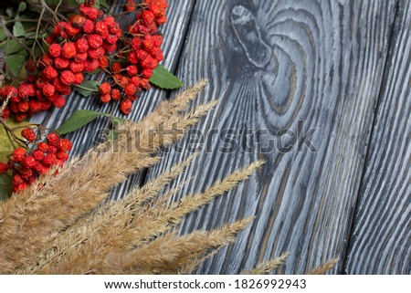 A bouquet of dried grass and rowan branches. They lie on black pine boards.