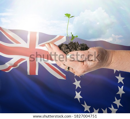 Cook Islands growth and new beginning. Green renewable energy and ecology concept. Hand holding young plant.
