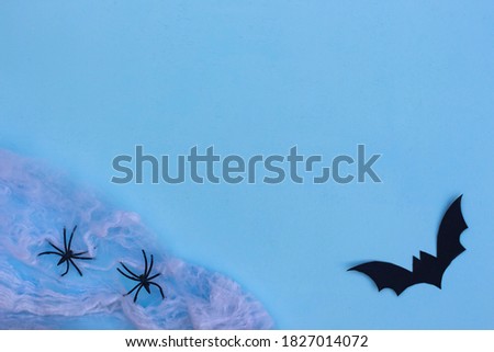 White spider net and with black bat