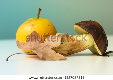 Autumn still life: a mushroom, a yellow apple and a dried maple leaf on a blue background