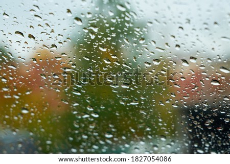                          Raindrops on the glass with blurred autumn trees on the background. Selective focus.      