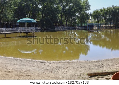 Abstract lake background with green fresh water for swimming and fishing. Selective focus