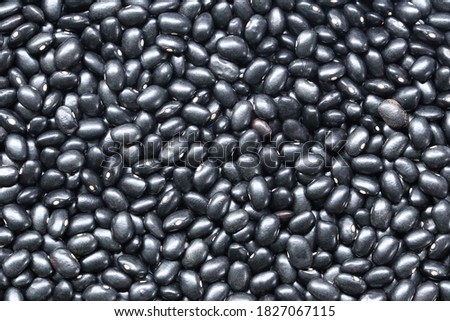 Fresh seed of black beans for design background in your work.