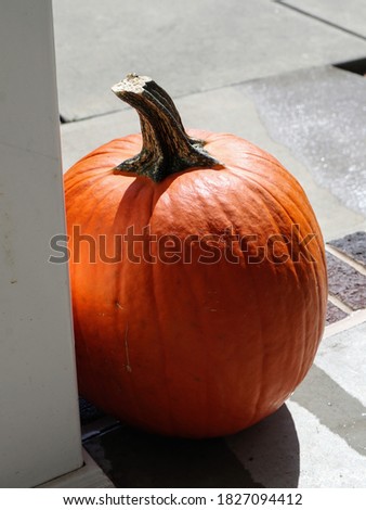 A bright orange pumpkin sitting on a front porch.