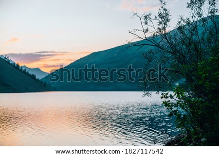 Amazing silhouette of tree branches on blurry background of alpine lake at sunrise. Colorful calm water of mountain lake in dawn colors in blur. Beautiful scenery with vivid water in sunny morning.