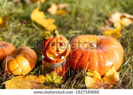  Jack'O pumpkin lamp, trick or treat on Halloween day. Concept for autumn holidays background.