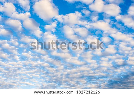 Altocumulus clouds with blue sky background. Royalty-Free Stock Photo #1827212126