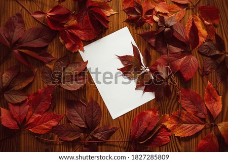 Red autumn leaves and blank paper with space for text, on wooden background. Autumn background composition. Still life from autumn leaves.