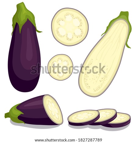 Eggplant set isolated on white background. Whole, slice, half of fresh aubergine. Vector ingredients for salad. Royalty-Free Stock Photo #1827287789
