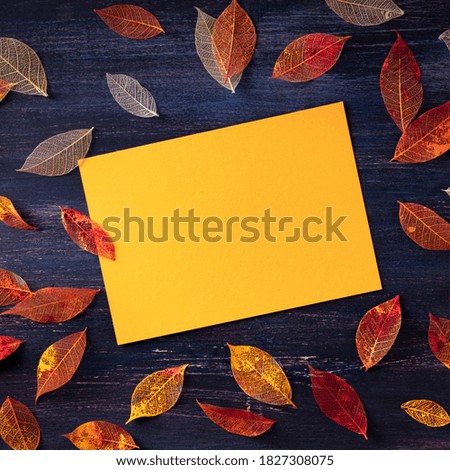 Square autumn design template, a flat lay of fall leaves with a greeting card, for flyers, gift cards and invitations, with a place for text