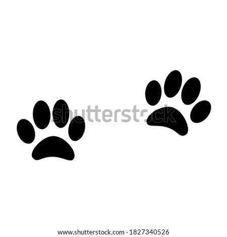 Pet paws print vector illustration on white background. Cat paws