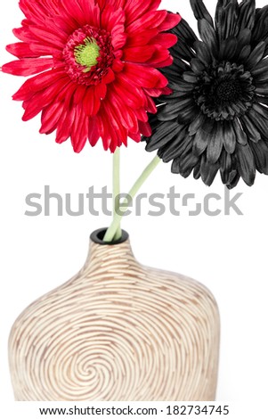 two gerbera in a wooden vase isolated on white background