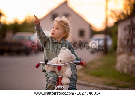 Toddler child, blond boy, riding tricycle in a village small road on sunset with teddy bear