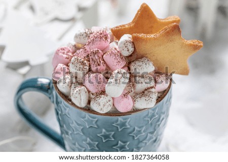 Hot and homemade cocoa with gingerbread cookie and cocoa on snowy table