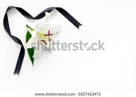 Funeral symbols. White lily with black ribbon, top view