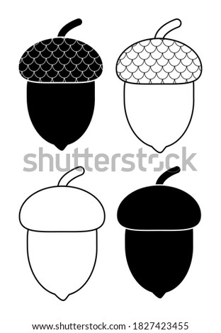 Acorn outlined and silhouetted autumnal design element set isolated on white. Illustration of oak tree fruits with caps.  Black and white oak acorns with shells clip art for autumn invitation.