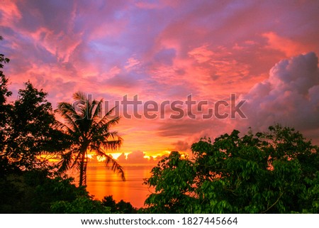 Fire Sunset adaman sea. Blue sky. Palm end wood.
Phuket
Kata View point