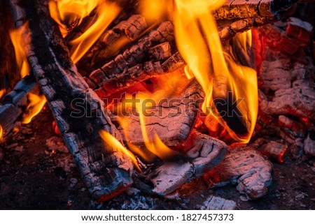 Burning firewood, glowing logs, fire and flames closeup photo. Burning wood for a barbecue