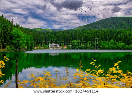 Landscape view of Karagol (Black lake) a popular destination for tourists, locals, campers and travelers in Eastern Black Sea, Savsat, Artvin, Turkey Royalty-Free Stock Photo #1827461114