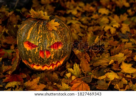 Scary jack o lantern halloween background