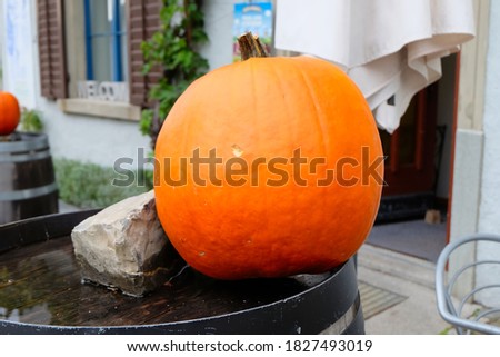 Orange pumpkins Halloween decorations background.