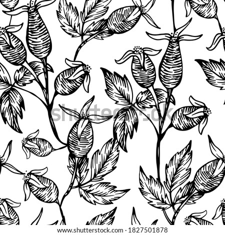 Hand drawn vector rose hips branches pattern. Rose hips graphic textile pattern. Berry background. Rose hips sketch illustration. 