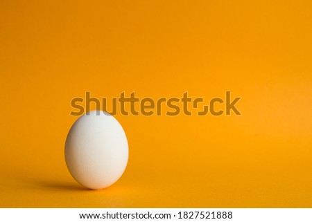 White hen's egg on orange background to commemorate world egg day partial focus Royalty-Free Stock Photo #1827521888