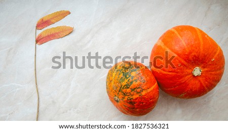 Autumn image with pumpkins and fallen leaves on the cream marble background.