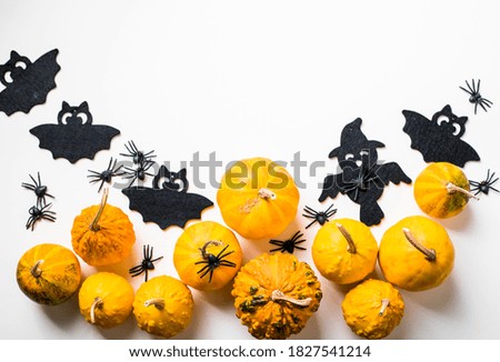 Frame of halloween decoration on pastel white background. Flat lay orange pumpkins, spooky spiders, bat, insects. Top view with copy space. Holiday greeting card mockup.