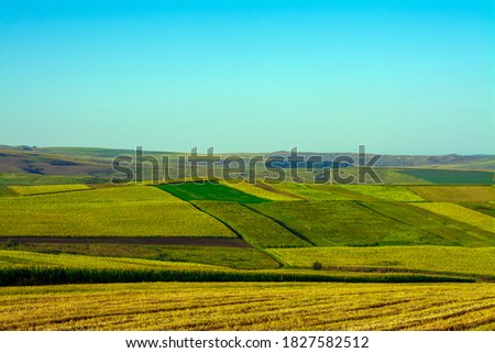 An aerial shot of fields with agricultural crops
