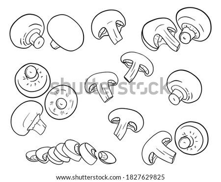 Hand-drawn champignons. Mushrooms in outline style are isolated on a white background. Whole, cut, slices, halves. Black and white vector illustration for food packaging design
