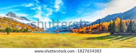 Charming autumn scene in Swiss Alps and views of Sils Lake (Silsersee). Colorful autumn scene of Swiss Alps. Location: Maloya, Engadine region, Grisons canton, Switzerland, Europe.