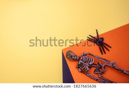 Flatlay on orange background, black spider and skeleton on the corner, empty space for text jlya, Halloween concept.