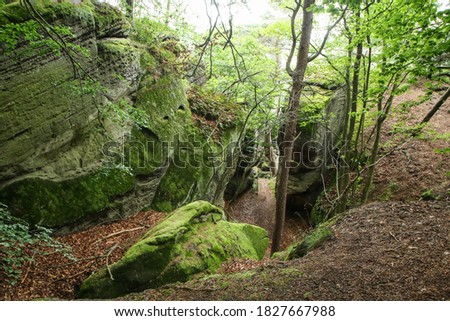 The picture from the natural area with rocks called "Drábské světničky" (Dráb´ s rooms) in Czech Republic. 