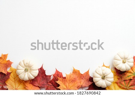 Autumn composition. Frame made of  fallen leaves and pumpkins on white background. Flat lay, top view. Hygge style, autumn fall concept.