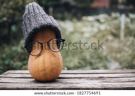Pumpkin on a wooden background, Holiday decoration. Funny Halloween and Thanksgiving. Pumpkin with glasses and a hat.